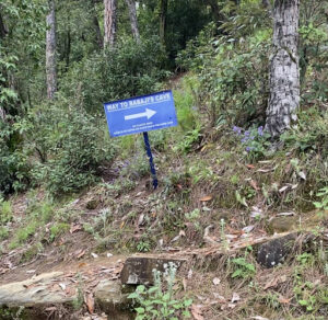 Sri Sri Mahavatar Babaji Cave Dwarahat Uttarakhand Sannidhi The