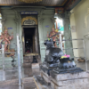 Nattatreeswarar3
