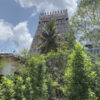 06 thiyagaraja_thiruvarur2