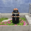 kashi_karvat1