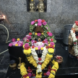 umakotilingeshwara_rajamundry0